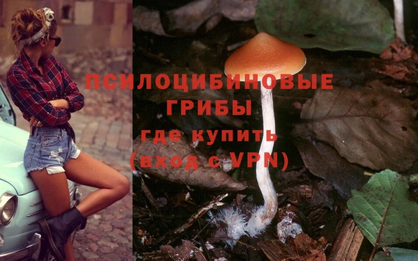 амф Касимов