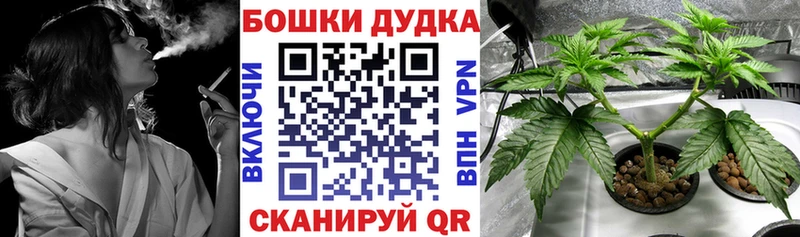 МАРИХУАНА SATIVA & INDICA Пересвет